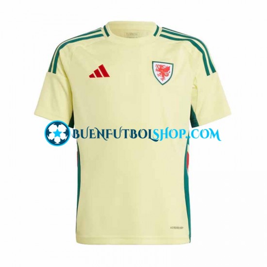 Camiseta de Fútbol Gales 2024 Segunda Equipación Manga Corta Hombre