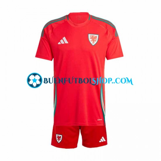 Camiseta de Fútbol Gales 2024 Primera Equipación Rojo Manga Corta Niño