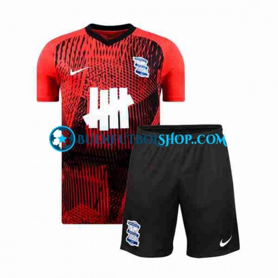 Camiseta de Fútbol Birmingham City 2023-2024 Segunda Equipación Manga Corta Niño