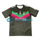 Camiseta de Fútbol Club Deportivo Palestino 2022-2023 Segunda Equipación Manga Corta Hombre