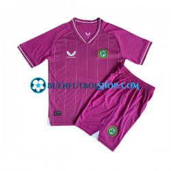 Camiseta de Fútbol Irlanda Portero 2023 Primera Equipación Manga Corta Niño Camiseta de Fútbol Irlanda Portero 2023 Primera Equipación Manga Corta Niño