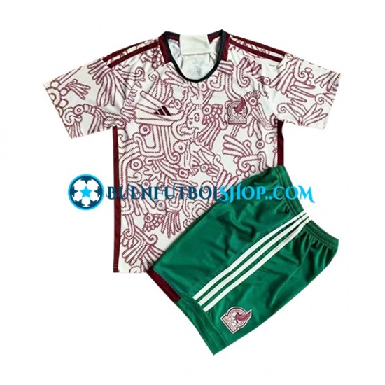 Camiseta de Fútbol México World Cup 2022 Segunda Equipación Manga Corta Niño