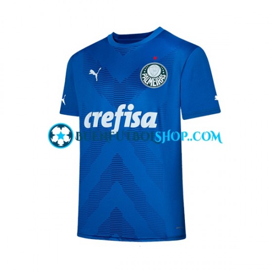 Camiseta de Fútbol Palmeiras Portero 2023-2024 Primera Equipación Manga Corta Hombre