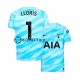 Camiseta de Fútbol Tottenham Hotspur Portero Hugo Lloris 1 2023-2024 Primera Equipación Manga Corta Hombre