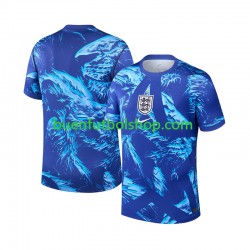 Camiseta de Fútbol Inglaterra Portero World Cup 2026 Tercera Equipación Manga Corta Hombre