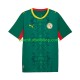 Camiseta de Fútbol Senegal 2026 2027 Segunda Equipación Manga Corta Hombre